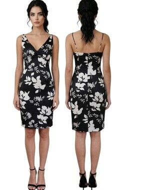 KATHLIN ARGIRO Silk Floral Print Sleeveless Sheath Dress - Size 4